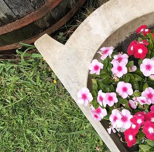 Janicsar Garden * Erlau