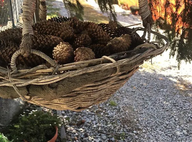 Janicsar Garden Apartment