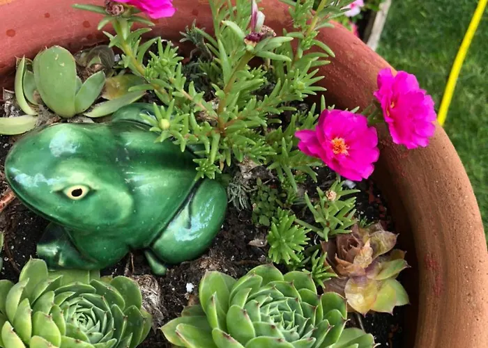 Apartment Janicsar Garden