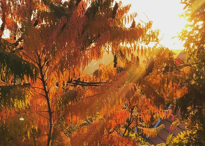 Janicsar Garden Apartment *