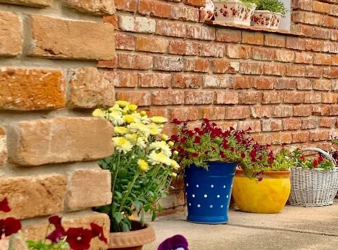 Apartment Janicsar Garden *