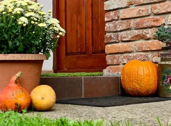 Janicsar Garden Apartment Erlau