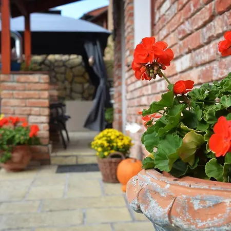 Janicsar Garden Apartamento Eger