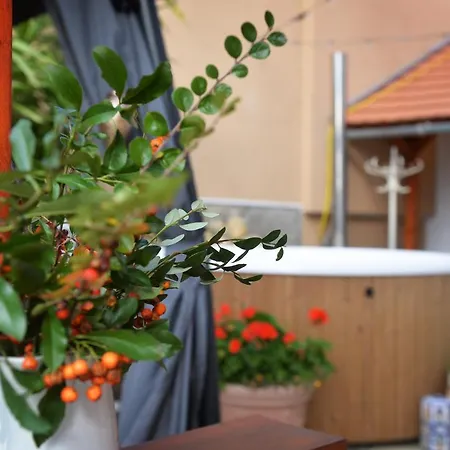 Janicsar Garden Eger