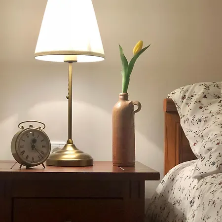 Janicsar Garden 公寓