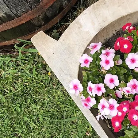 Janicsar Garden * 埃格尔