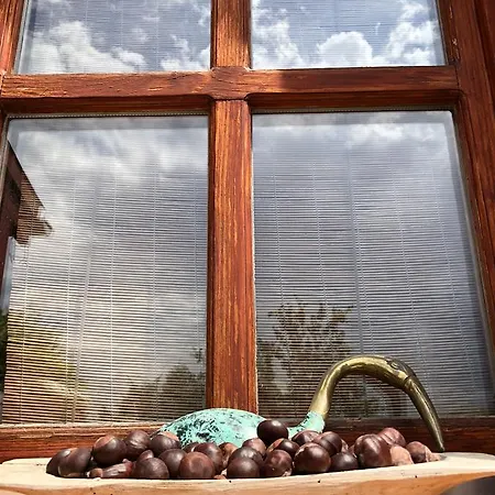 Janicsar Garden Apartamento Eger