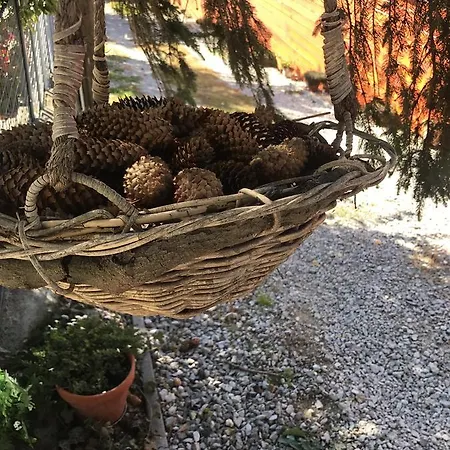 Janicsar Garden 公寓