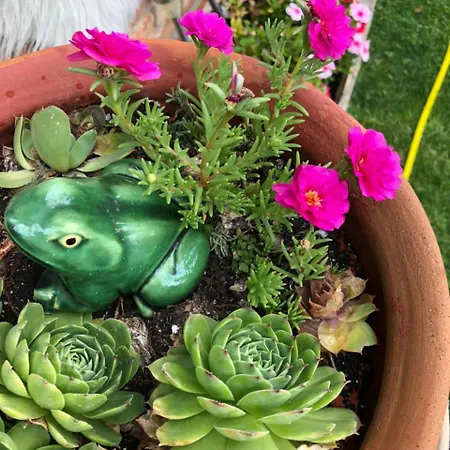 Apartamento Janicsar Garden