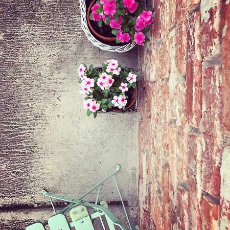 Apartamento Janicsar Garden *