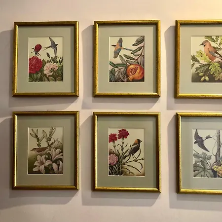 Apartamento Janicsar Garden *