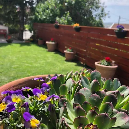 Apartamento Janicsar Garden