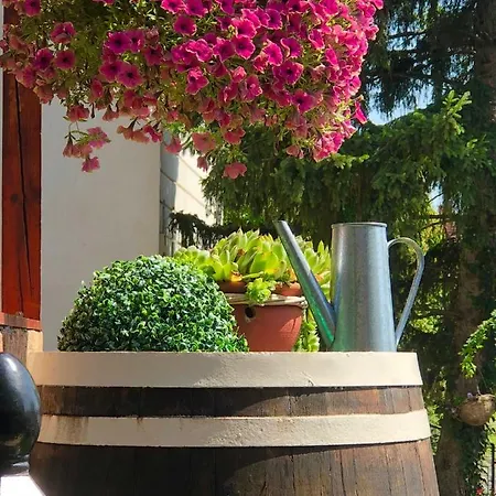 Apartamento Janicsar Garden