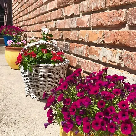 Apartamento Janicsar Garden