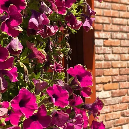 Janicsar Garden Apartamento *