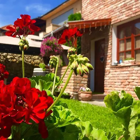 Apartamento Janicsar Garden