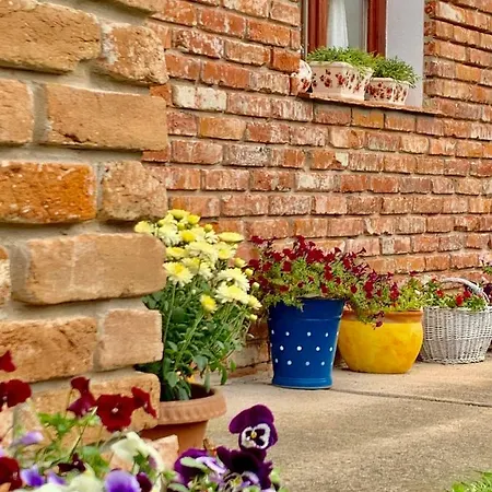 Apartamento Janicsar Garden *