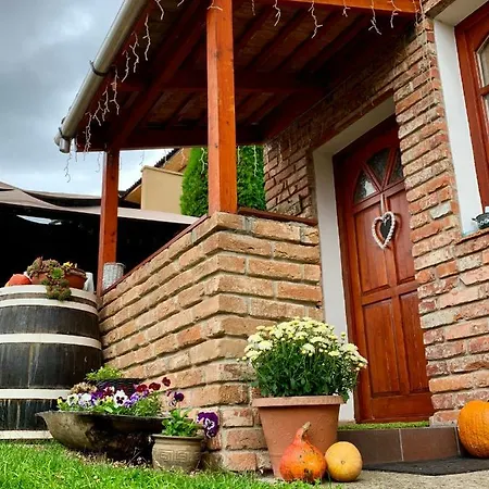 Janicsar Garden Eger