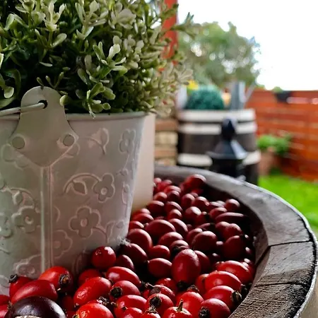 Janicsar Garden Eger